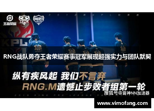 RNG战队勇夺王者荣耀赛事冠军展现超强实力与团队默契